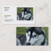 Siberian Husky Dog Visitekaartje (Voorkant / Achterkant)