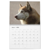 Siberian Husky Dogs Wall Calendar Kalender (Mar 2026)
