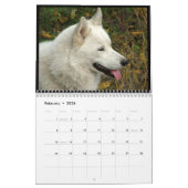 Siberian Husky Dogs Wall Calendar Kalender (Feb 2026)