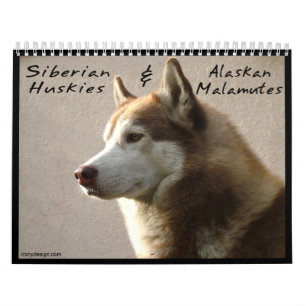 Siberian Husky Dogs Wall Calendar Kalender
