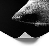 Siberian Husky Face Poster (Hoek)