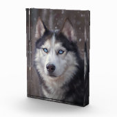 Siberian Husky Fotoblokken (Rechts)