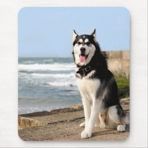 Siberian Husky Hond op Strand Computer Muismat