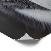 Siberian Husky In Chefs Hat Poster, Pet Poster (Coin)