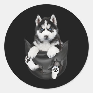 Siberian Husky in Pocket Puppy Ronde Sticker