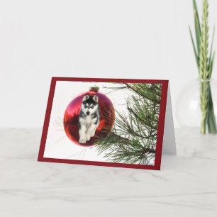 Siberian Husky kerstkaart met hanging Ball Feestdagen Kaart
