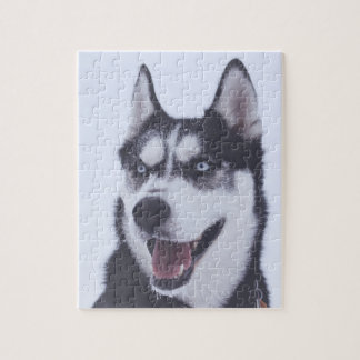 Siberian Husky Legpuzzel