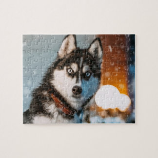 Siberian Husky Legpuzzel