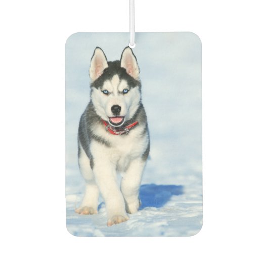Siberian Husky Luchtverfrisser (Voorkant)