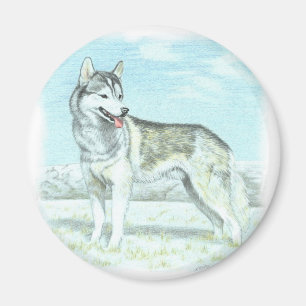 Siberian Husky Magneet