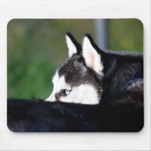 Siberian Husky Mousepad Muismat