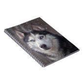 Siberian Husky Notitieboek (Rechterzijde)