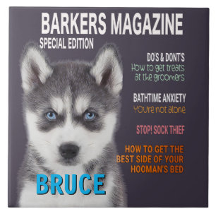Siberian Husky Parody Magazine Hoesje Foto afdrukk Tegeltje