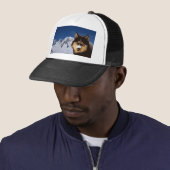 Siberian Husky Pet (In situ)
