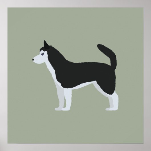 Siberian Husky Poster (Voorkant)