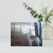 Siberian Husky - Postkarte Briefkaart (Staand voorkant)