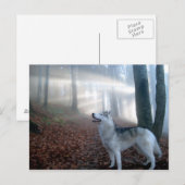 Siberian Husky - Postkarte Briefkaart (Voorkant / Achterkant)