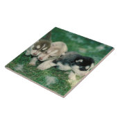 Siberian Husky Puppies Tile Tegeltje (Zijkant)
