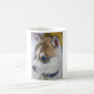 Siberian Husky Puppy 2 Koffiemok
