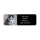 Siberian Husky Puppy Adresetiketten Etiket (Voorkant)