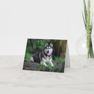 Siberian Husky Puppy Dog - Hallo, liefde, bedankt. Bedankkaart