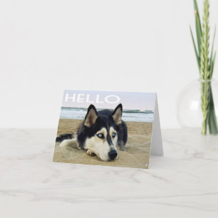 Siberian Husky Puppy Hond Hallo, Ik denk aan je Kaart