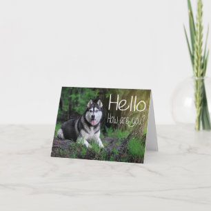 Siberian Husky Puppy Hond Hallo, Ik denk aan je Kaart