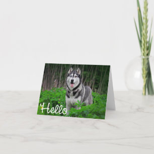 Siberian Husky Puppy Hond Hallo, Ik denk aan je Kaart
