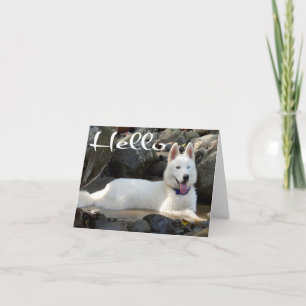 Siberian Husky Puppy Hond Hallo, Ik denk aan je Kaart
