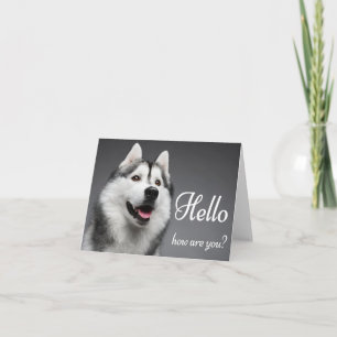 Siberian Husky Puppy Honden Hallo, Denk Aan Jou Kaart