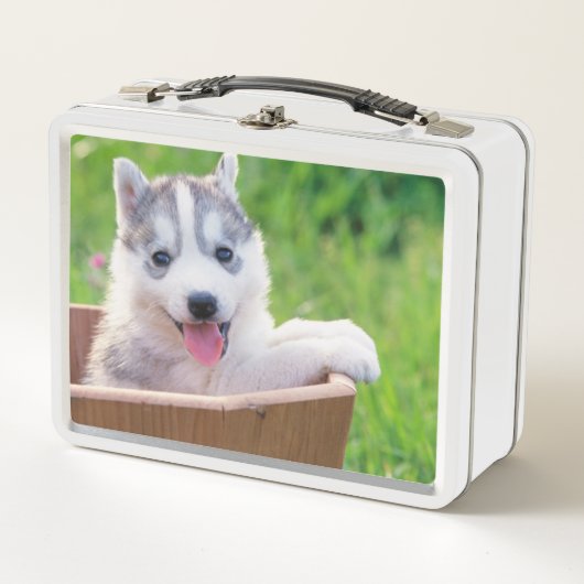 Siberian Husky Puppy in een pot (Voorkant)