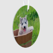 Siberian Husky Puppy in een pot Ornament (voorkant)