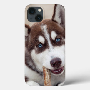 Siberian Husky Puppy in het strand iPhone 13 Hoesje