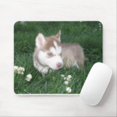 Siberian Husky Puppy Mousepad Muismat (Met muis)