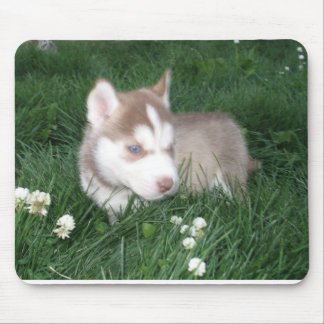 Siberian Husky Puppy Mousepad Muismat