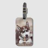 Siberian Husky Puppy op het strand Bagagelabel (Voorkant (verticaal))