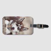 Siberian Husky Puppy op het strand Bagagelabel (Voorkant (horizontaal))