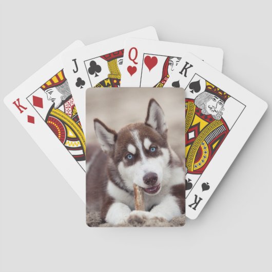 Siberian Husky Puppy op het strand Pokerkaarten (Achterkant)