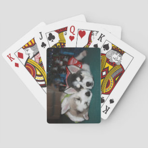 Siberian Husky Puppy Playing Cards Pokerkaarten