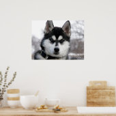 Siberian Husky Puppy poster (Keuken)