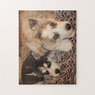 Siberian Husky Puppy Puzzle Legpuzzel
