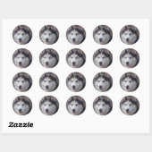 Siberian Husky Ronde Sticker (Vel)