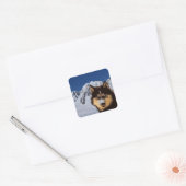 Siberian Husky Sticker (Envelop)
