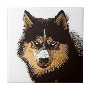 Siberian Husky Tegeltje