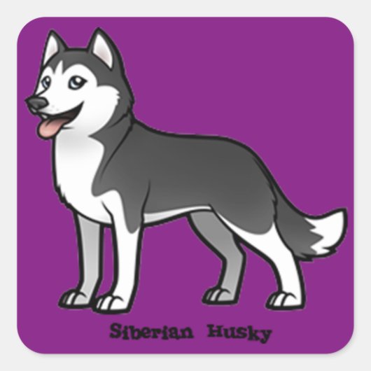 Siberian Husky Vierkante Sticker (Voorkant)
