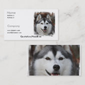Siberian Husky Visitekaartje (Voorkant / Achterkant)