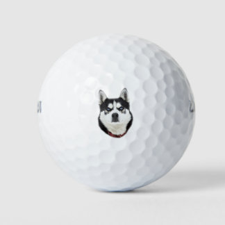Siberian Husky ziet er boos uit Golfballen
