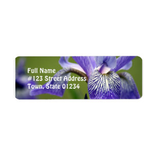 Siberian Iris Flower Return-adreslabel Etiket