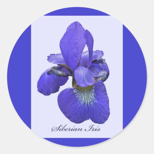 Siberian Iris Sticker (Voorkant)