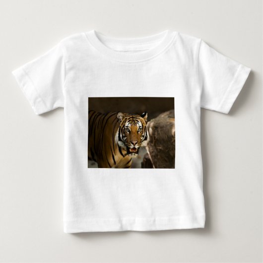 Siberian Tiger (Voorkant)